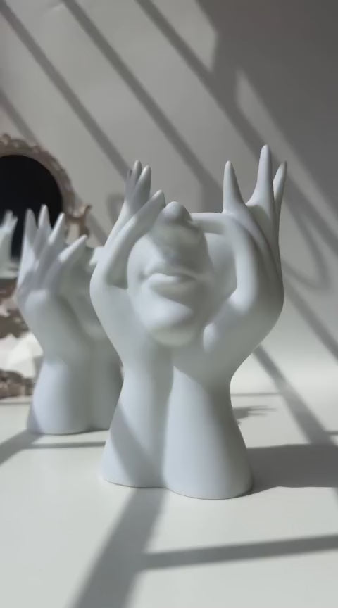 Aesthetic Face Vase |Home showcase piece