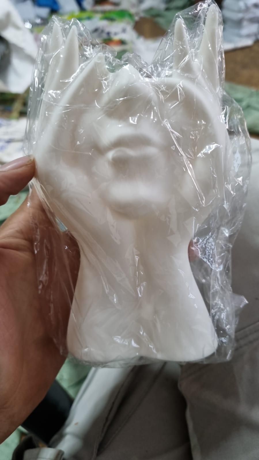 Aesthetic Face Vase |Home showcase piece